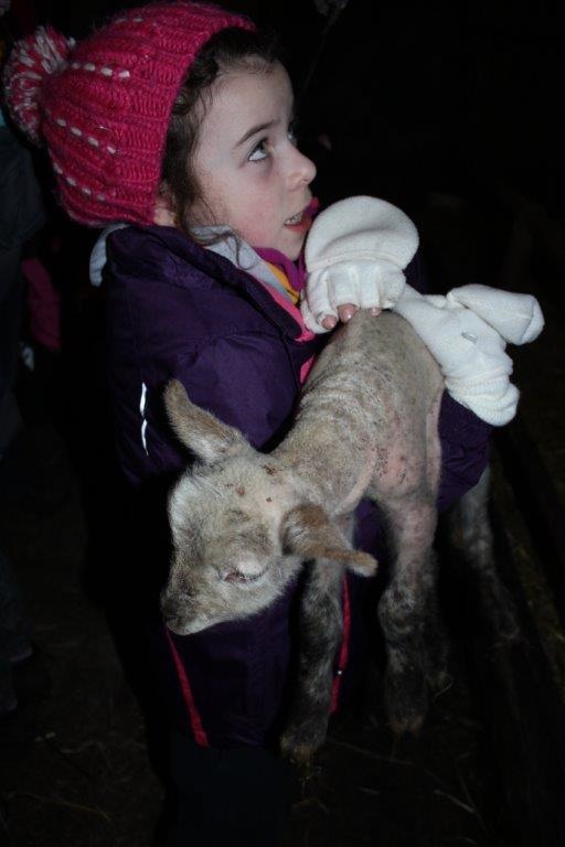 IMG_3240